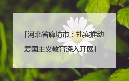 河北省廊坊市：扎实推动爱国主义教育深入开展